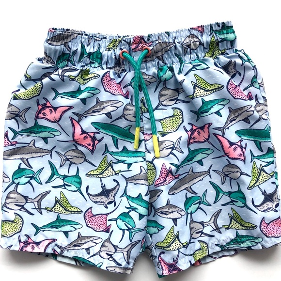 Cat & Jack | Stingrays & Sharks RashGuard & Trunks - Picture 5 of 8